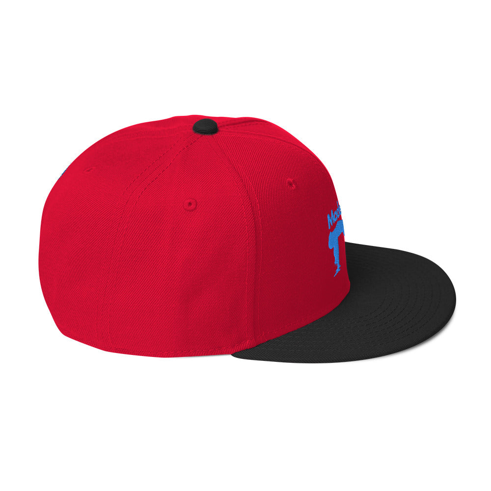 Pilates Hot-T's Snapback Hat