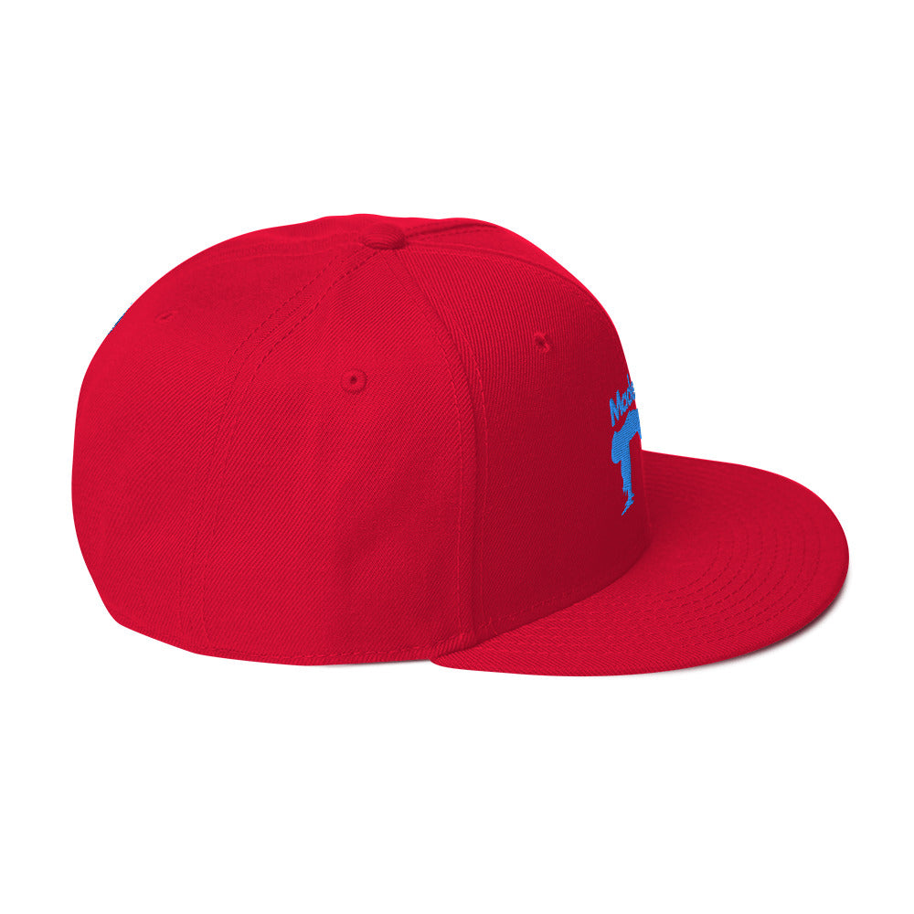 Pilates Hot-T's Snapback Hat