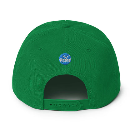 Pilates Hot-T's Snapback Hat